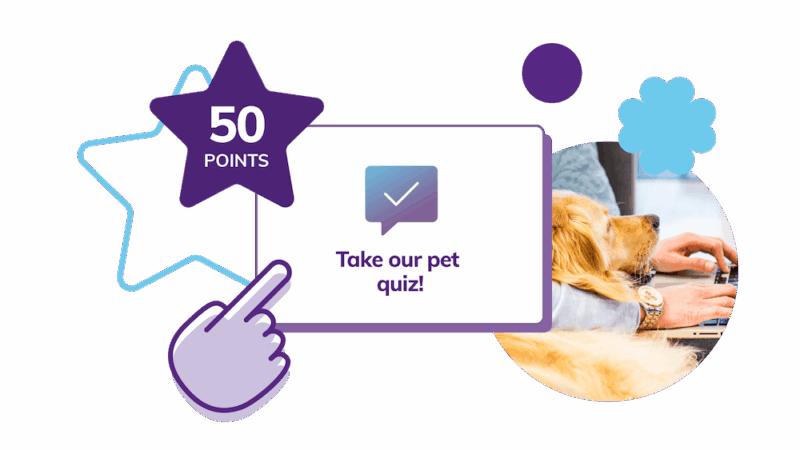 Loyaltylion Website Pet Care Brands V3 B